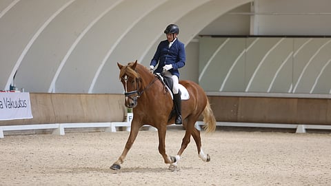 Hevosurheilu Ratsastuksen vuosikello näyttää, että on Pohjola-finaalien aika. Lassi Lehmustolla ja Vekardolla on takanaan huippukausi. 