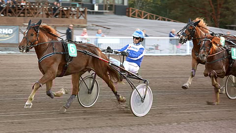 Ravihevonen ja ohjastaja.