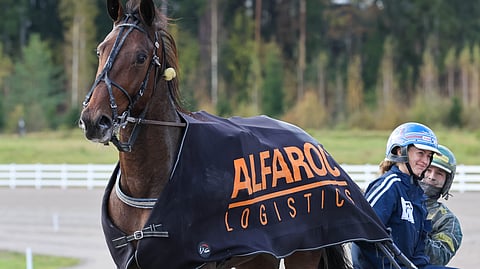 Ravihevonen BWT Gazeau