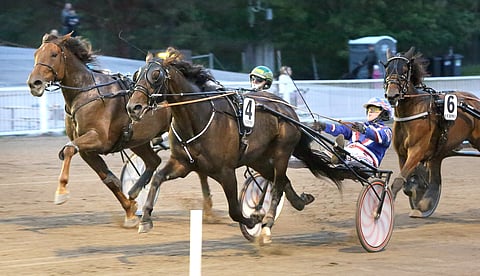 Raviohjastaja ja ravihevonen.