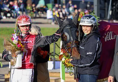 Ravihevonen ja taustavoimat.