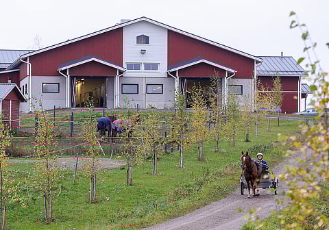 Kiuruvesi ja muut hevosalan koulut ovat nyt uuden edessä toisen asteen koulutuksen leikkauksien takia.