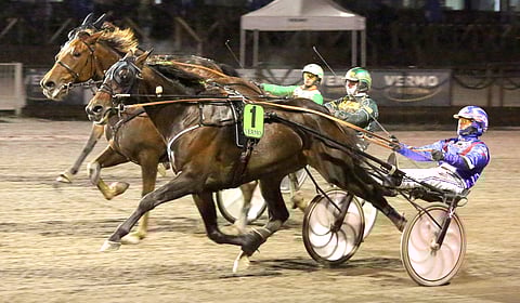 King Cantab tuli uudestaan ja torjui kuin torjuikin Estelle Travianin ja Sweet Fontin.