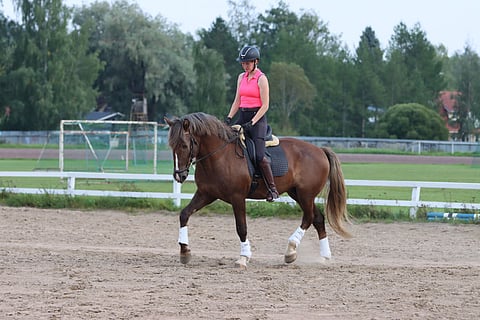 Välillä kesätöissä. 