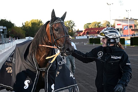 Keskimatkan E3-finaalin voittaja Screen Time Limit starttaa Trav-Oaksiin nelosradalta. Hoitaja Marja Ahonen kehuu sen olevan luokkahevonen.