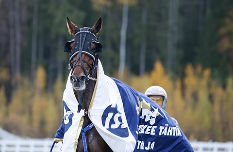 Anne Kangas on Lighningflashin valmentaja.