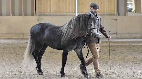 Jalostusori Pirttirannan Luke ja kasvattajansa Tarmo Kivioja. 