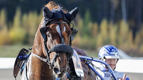 Ravihevonen Pyrkimys ja Ville Korjus