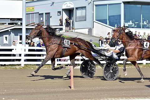 Velocius Crowd One jää pois Vermosta.
