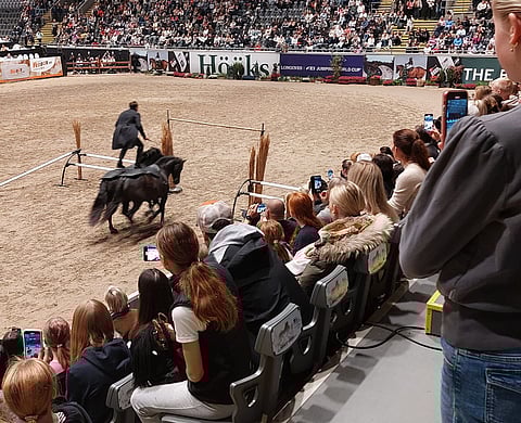 Nykyihminen haluaisi videoida ja julkaista omilla somesivuillaan, mutta maailmancup-luokissa se ei Horse Show'ssa ole sallittua ja perjantain 150-luokassa se on ajallisesti rajoitettua. 