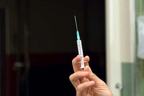 Onko hevosellasi piikkikammo? Opeta se siitä pois. 