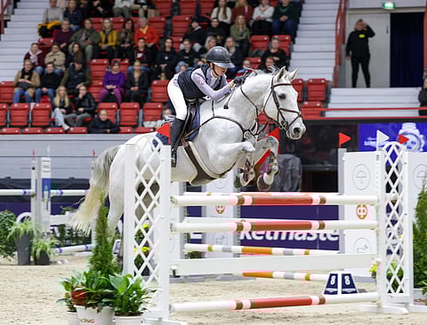 Backwoods Challenger tuli tunnetuksi Sani Illin satulan alla. Nyt se on myyty. 