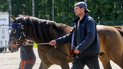 Aki Parviainen nauttii hevosten kanssa touhuamisesta.