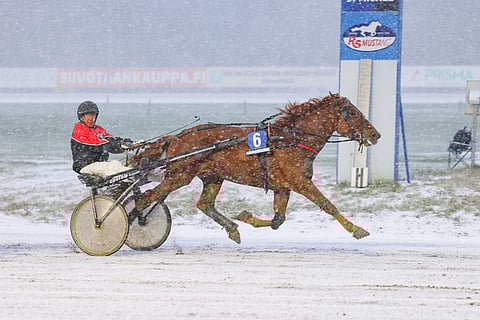 Paavo Reponen lasketteli Boscon Visalla voiton viime marraskuussa Mikkelissä.