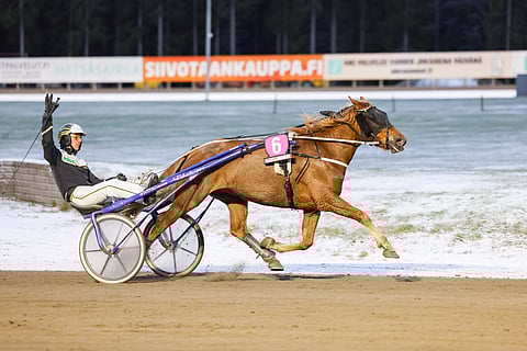 Loppu hyvin, kaikki hyvin. Pihlajan Hilima jatkaa nousuaan tammahuipulle.
