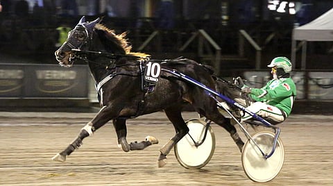 Ravuri Max di Quattro ja raviohjastaja Ari Moilanen