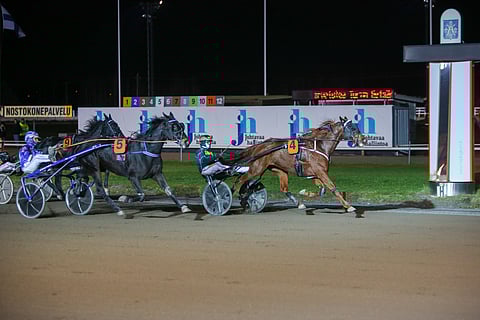 Kimmo Aholan valmentama ja Maarit Myllymäen kasvattama Cool Flame oli yksi sankareista.