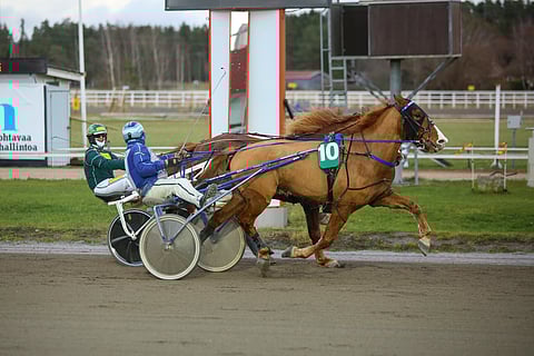 Meleko Kommee voitti viime kaudella kuudesti.