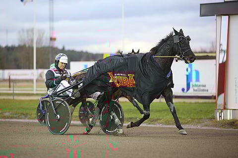Combat Fighter on yksi suomalaistoivoista Finlandia-Ajossa sunnuntaina 