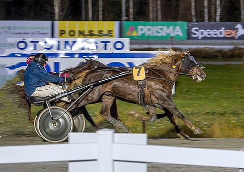 Häijymies on voittanut urallaan neljästi.