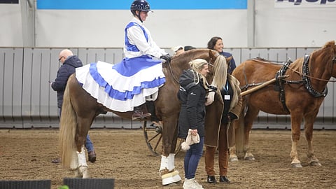 Selfieitä Ypäjä Paavon kanssa on nyt  ympäri maailmaa. 