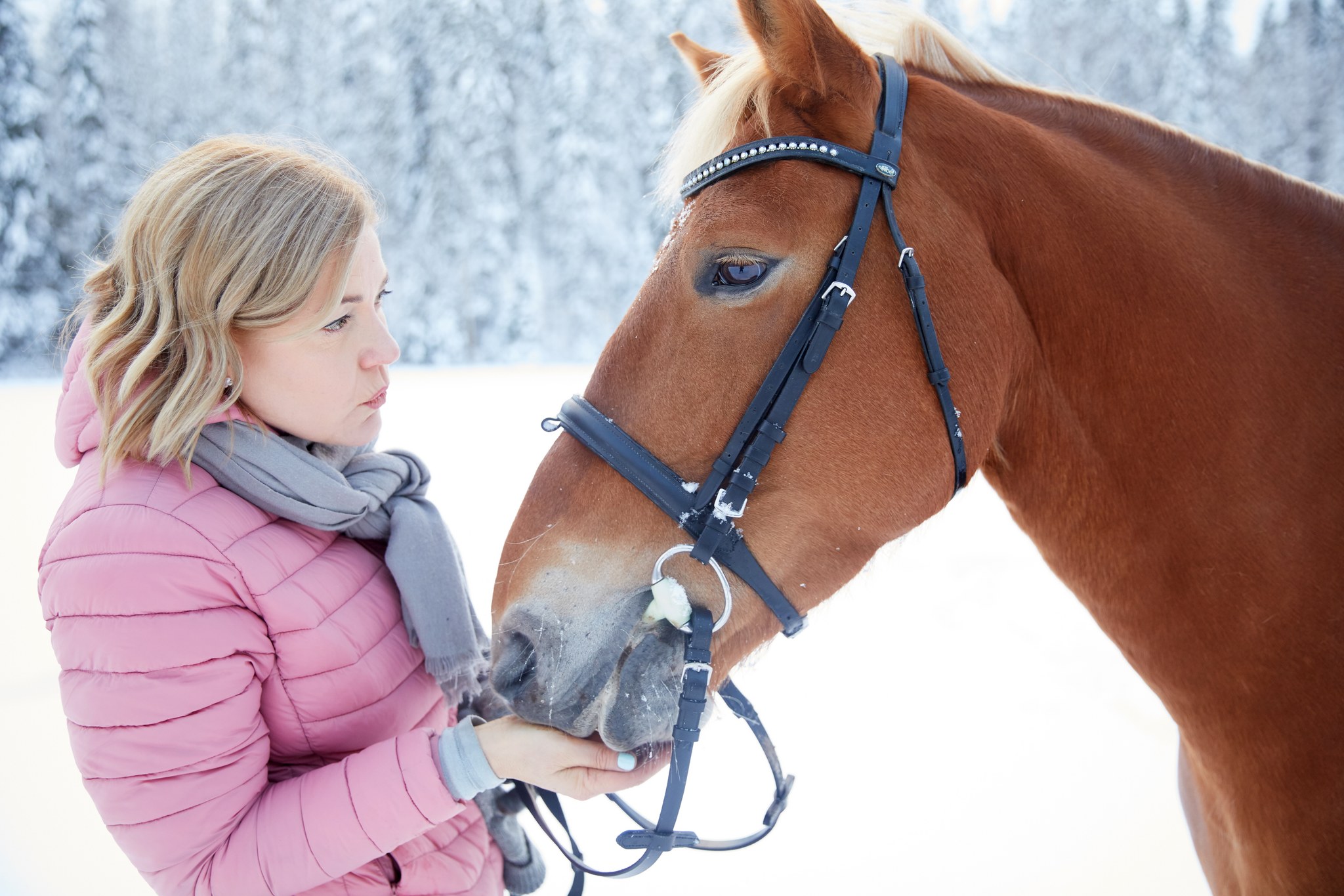 Henne Virkkunen ja vanha tamma Valpuri, jolla hän yrittää ehtiä ratsastaa ainakin kerran viikossa. 
