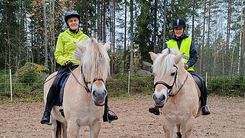 Pirkko Varjo ja Ritva Suominen, vanhat ystävykset Artukaisten tallilta, palasivat satulaan 50 vuotta myöhemmin. Edessä oli maasto vuonohevosten,  Islan ja Linen, kanssa.
