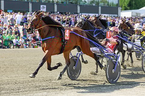 Arctic Estelle rattaillaan Santtu Raitala