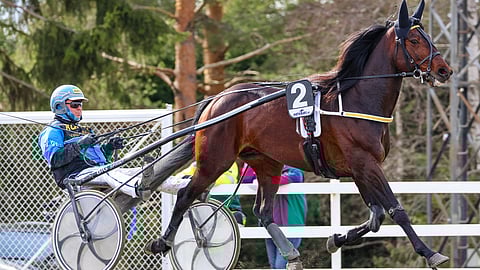 Morris päättää pitkän taukonsa Vermossa.