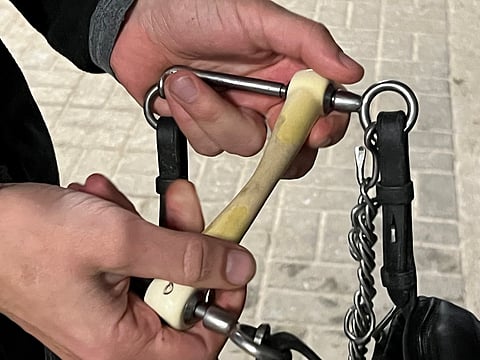 Kuolaimet ja joissakin muissa maissa sallittu kuolaimettomuus kisoissa keskusteluttivat Ypäjällä lauantaina. 