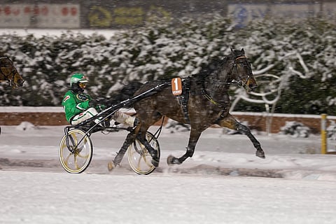 Gianluca toi toisen Vermon voiton lauantaina Marinka Salmisen talliin.