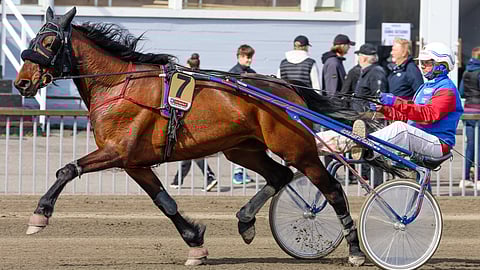 Marko Pessin valmentama Leonore Adams viettää pientä taukoa syksyn menestysputken jälkeen.