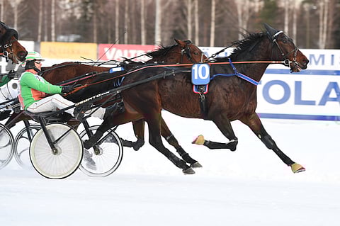 Tricky Chavaroche punnersi voittoon ohjastajanaan Ville Pohjola.