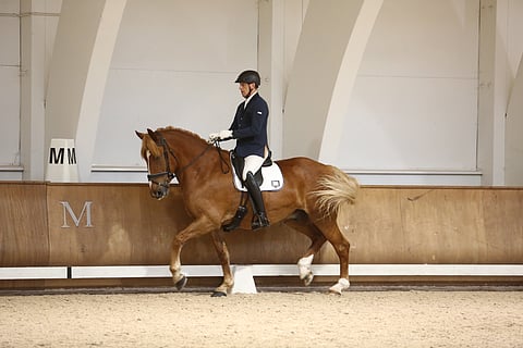 Vekardo on viihtynyt Novassa ennenkin. 