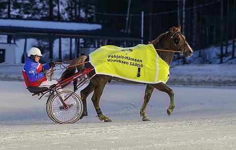Tuuskanen on matkalla kohti parasta talvikauttaan.