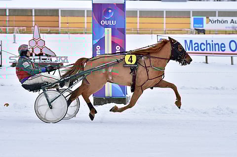 Hannu Hietasen valmentama ja ohjastama R.R. Johtaja hakee jo neljättä peräkkäistä täysosumaa.