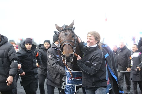 Useamman turvamiehen armeija ympäröi radalta karsinaansa palaavan Idao de Tillardin. Hevosta halailee sen hoitaja Susanne Ohme. 