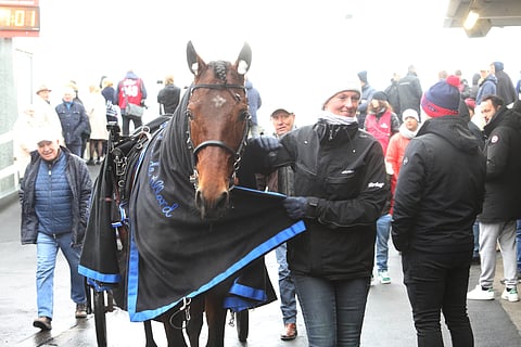Susanne Ohme taluttaa Idao de Tillardia lämmityksestä. Taustalla näkyvä lippalakkipäinen valmentaja Thierry Duvaldestin sanoo olevansa toiveikas ja optimistinen"." 