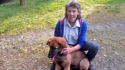 Mirja Kärkkäinen on eläinten ystävä.