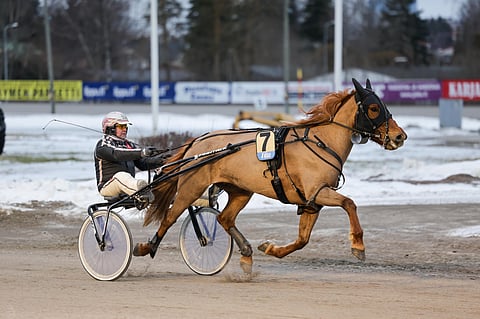 Hajapusa ja Antti Teivainen