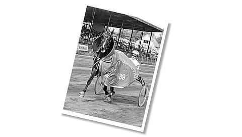 Hevosurheilun kuva-arvoitus – vastaa ja voita Maailman parhaat Kuninkuusravit -kirja