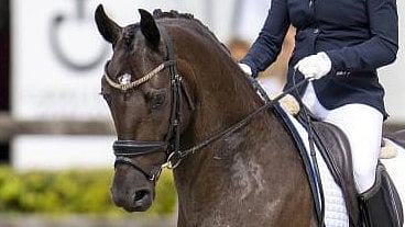 Kolumni: Tuntuma - osa kokonaisuutta vai ei?