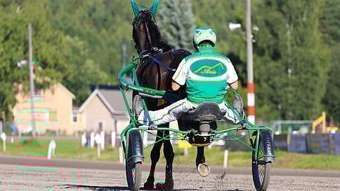 Ballerina Fastback ja Juho Ihamuotila