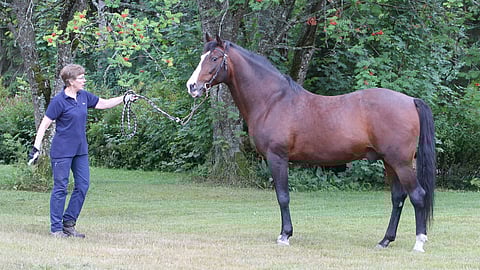 Le Monteil ja Liisa Savo vuonna 2020.