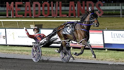 Ravit USA Twin B Joe Fresh