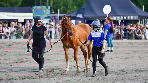 Killerin Kuninkuusravit varsahuutokauppa Rafaelo