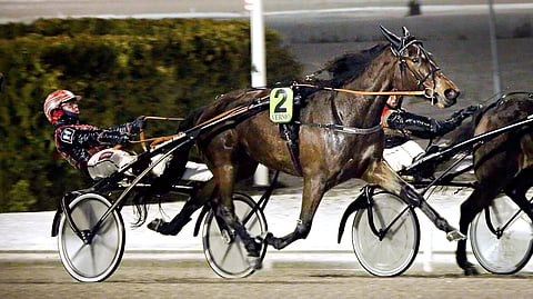 Callela Ladybird ja Santtu Raitala