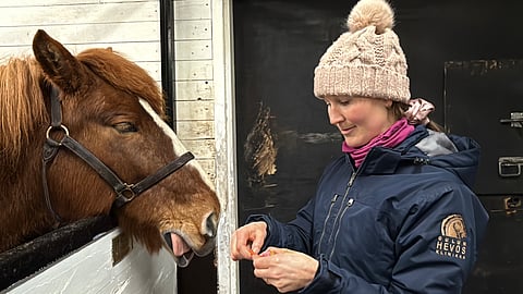 Mirjami Anttila innostui hevosten suun terveydestä ja kuolainten sopivuudesta opiskeluaikanaan. 