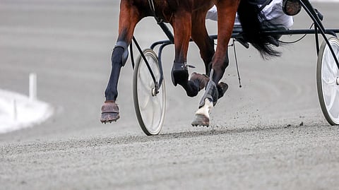 Teivon radanpinta ja hevosen jalat