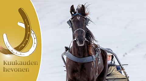 Rivercapes Frozen treenaa mielellään, kun pääsee oikeaan moodiin.